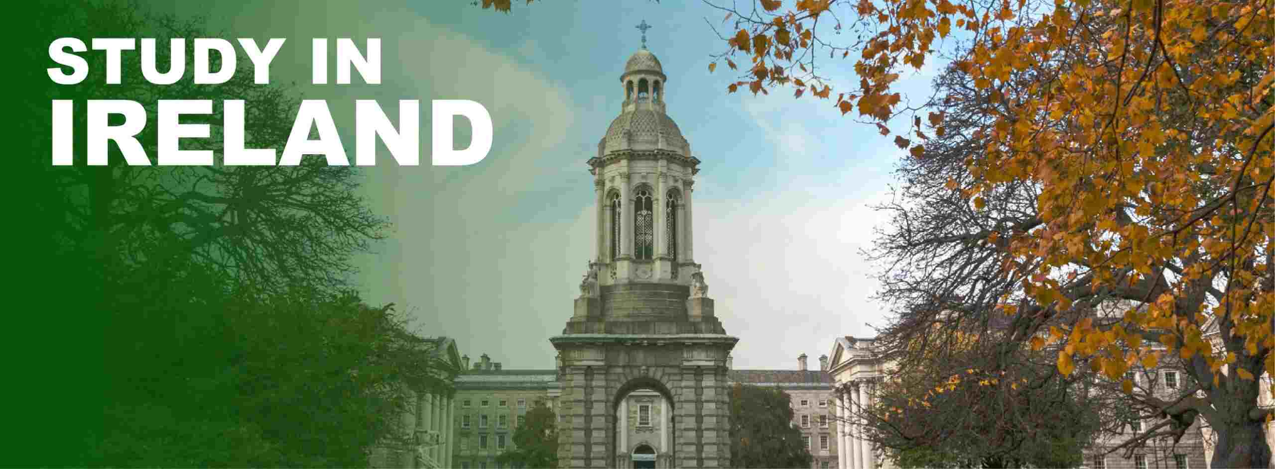 study abroad banner
